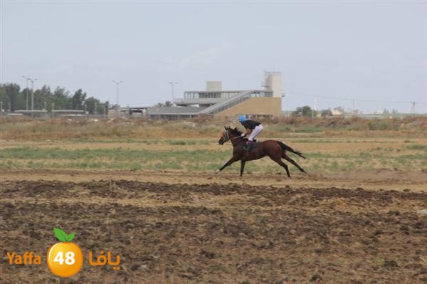 khoyoul lud 0610 (35).JPG